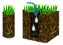 Picture of the benefits of aeration, what it does for your grass- helps hydrate it.