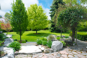 Picture of beautiful landscaping with ornamental trees. Also features grass, shrubbery and masonry.