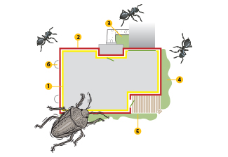 Picture of the perimeter pest control program method used by Richter's Beautification.
